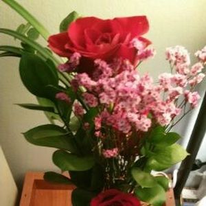 Meet your Posher, Kathy walsh